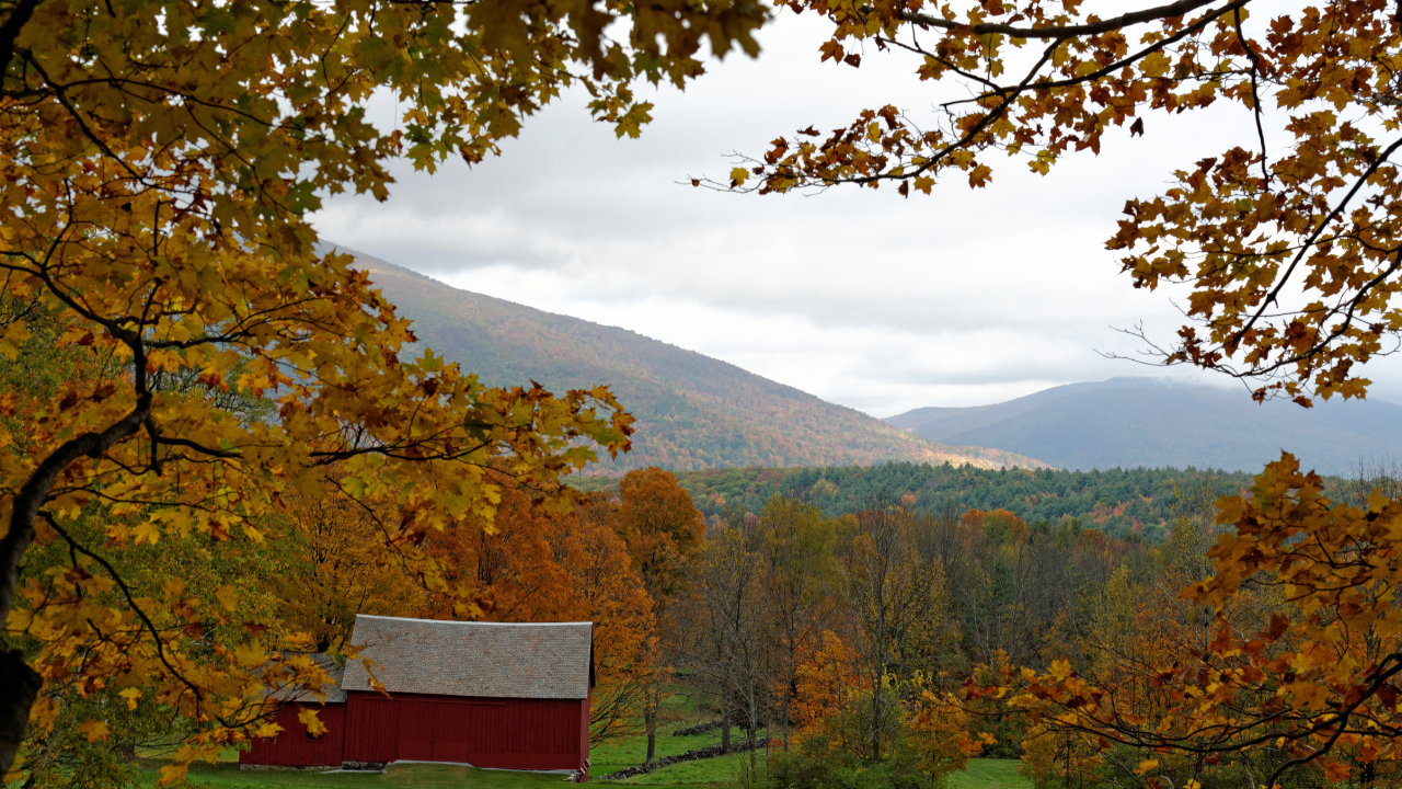 Vermont Municipalities Declare Inclusion as a Priority